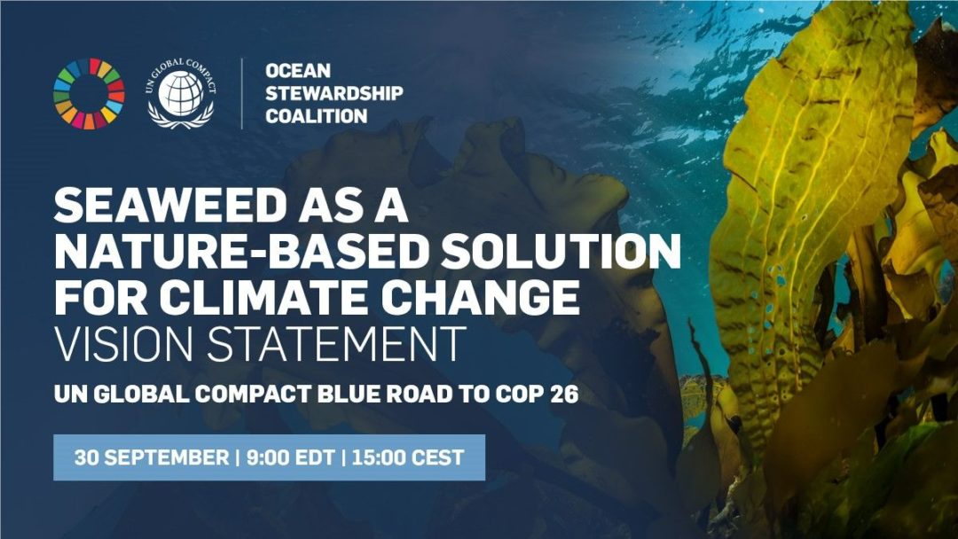Sea Green Selected to be a contributor to the United Nations Global Compact vision statement